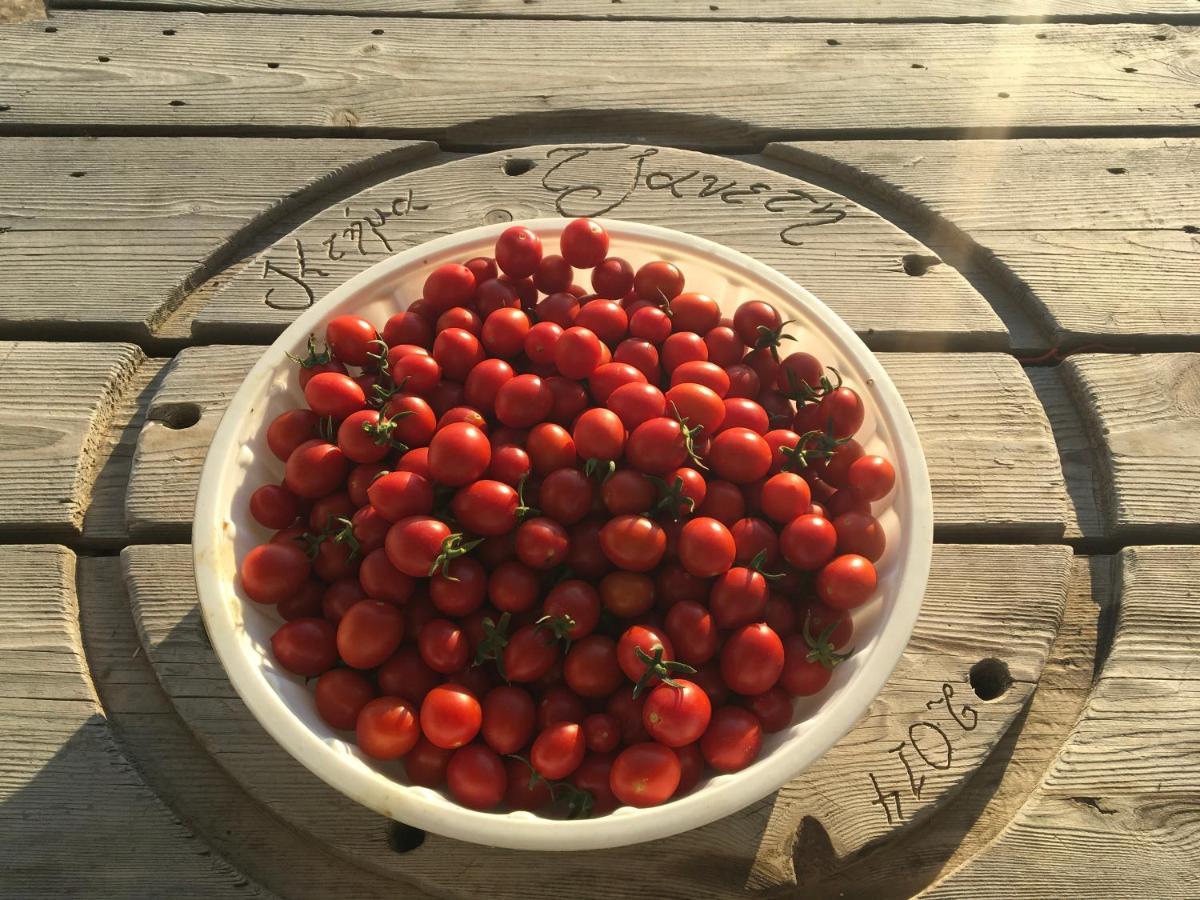Ktima Tzaneti - Coastal Farmhouse 라카니아 외부 사진